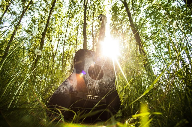 Nature et musique