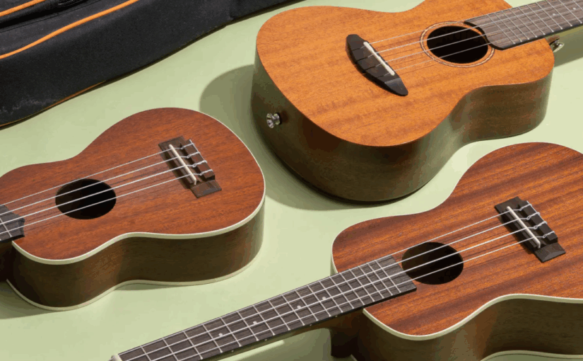 DECOUVERTE DU UKULELE ET DE LA GUITARE