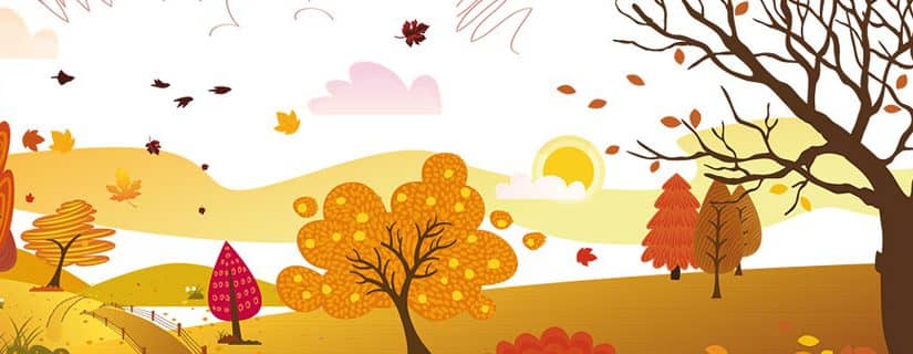 Stage d’automne à Tournai : Ah l’automne, …. Quelle belle saison !