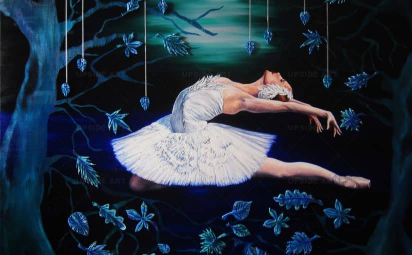 Stage d&rsquo;août « Le lac des Cygnes »