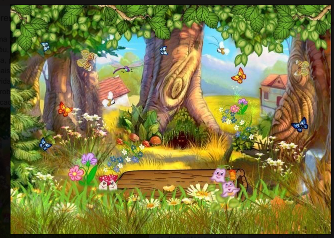 Stage de juillet :  « Découverte de la forêt »